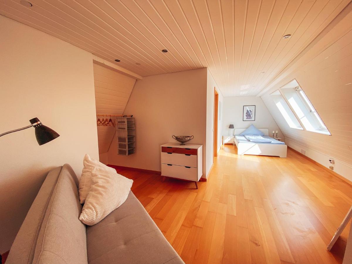 Rheinloft 3 - Grosse Giebelwohnung Mit Dachterrassen An Der Rheinpromenade Емерих Екстериор снимка